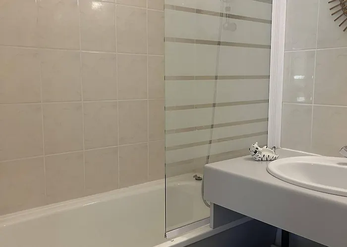 Plagne Soleil: 2 Pièces Avec Balcon, Accès Direct Pistes, Centre Proche Commerces - Fr-1-351-14 Appartement La Plagne